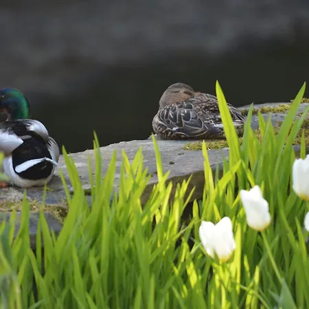 Middlebeck Vakantiehuis *